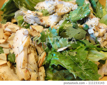 Asian Sesame Chicken Salad Close-up Asian Sesame Chicken Salad Close-up 111153143
