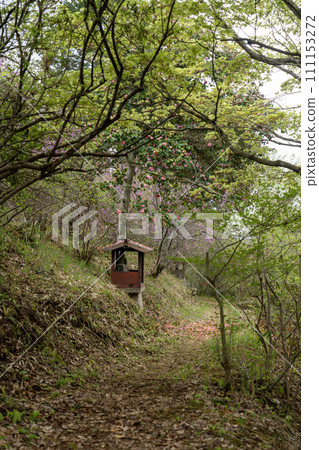 Jizo-san surrounded by fresh greenery 111153272