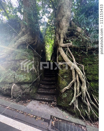 Izu Oshima's Izumitsu cut through 111153433