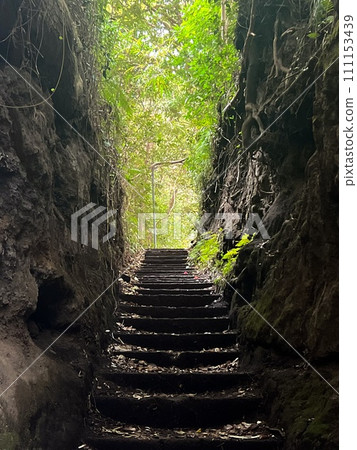 Izu Oshima's Izumitsu cut through 111153439