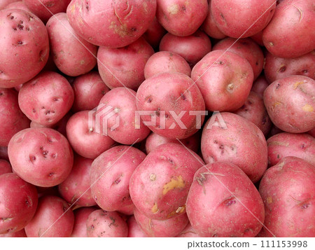 Pile of Red Potatoes Pile of Red Potatoes 111153998