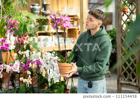 Young guy chooses orchids in flower shop Young guy chooses orchids in flower shop 111154438