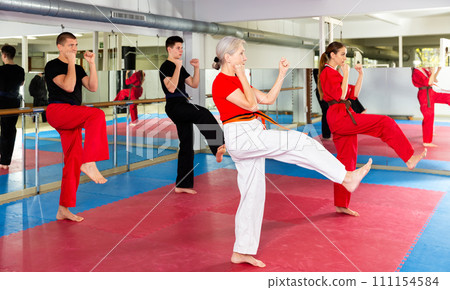 People of different ages performing kata in gym People of different ages performing kata in gym 111154584