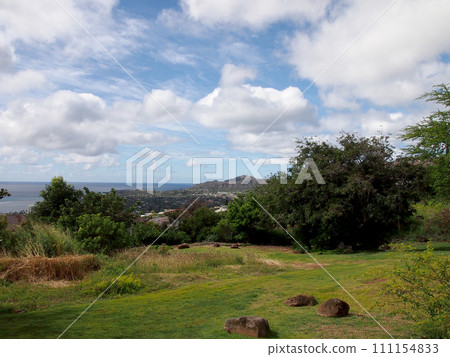 Plants and paths of Laukahi Slopes in the hills 111154833