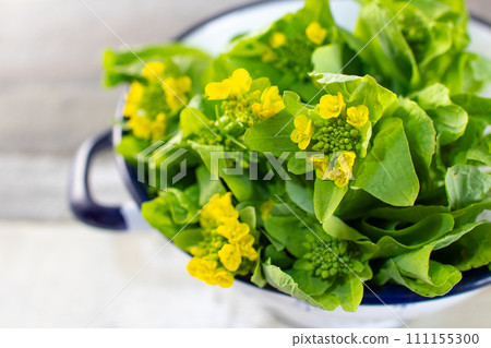 Colander and spring ingredients, rape blossoms, close-up 111155300