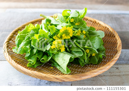 春天的食材，漏勺上的油菜花 111155301