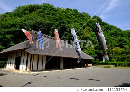 Old folk house and carp streamer [Oshima, Sagamihara City, May] 111155794