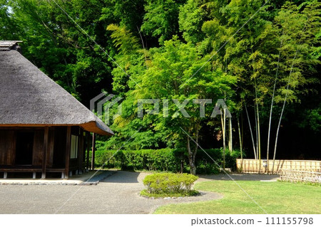 An old folk house surrounded by fresh greenery [Oshima, Sagamihara City, May] 111155798