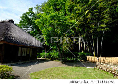 An old folk house surrounded by fresh greenery [Oshima, Sagamihara City, May] 111155800