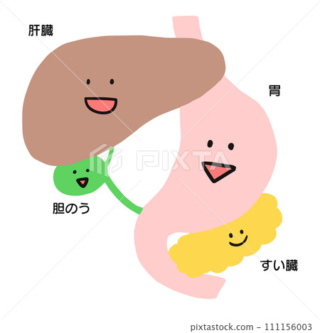 器官插圖:肝臟、膽囊、胃、胰腺 器官插圖:肝臟、膽囊、胃、胰腺 111156003
