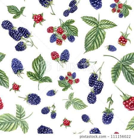 Summer seamless pattern with ripe aromatic Blackberries. Bunches of blackberries. Forest and garden berries. Dewberry, bramble. Watercolor illustration for wrapping, poster, textile Summer seamless pattern with ripe aromatic Blackberries. Bunches of blackberries. Forest and garden berries. Dewberry, bramble. Watercolor illustration for wrapping, poster, textile 111156022