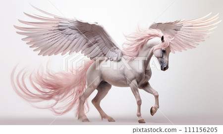 Image of Pegasus - image of Pegasus No6-21 - 111156205