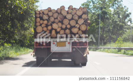 Large Truck Transporting Wood on the road. 111156842