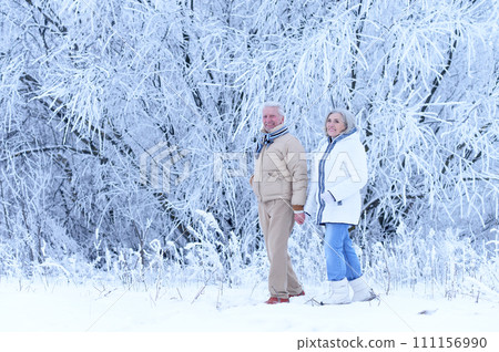 Elderly couple walks in nature in winter Elderly couple walks in nature in winter 111156990