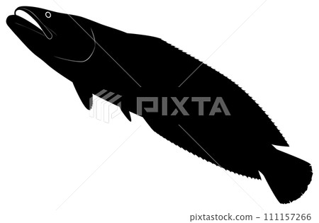 Snakehead Snakehead 111157266
