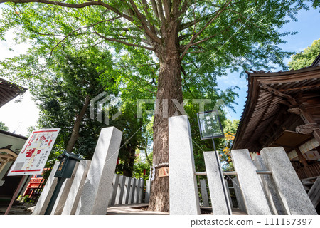 Good luck! Tanashi Shrine Good luck! Tanashi Shrine 111157397