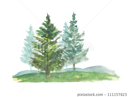 coniferous hill coniferous hill 111157823
