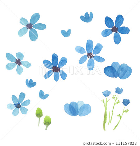 藍色的花 111157828