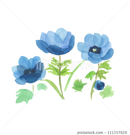 藍色的花 111157829