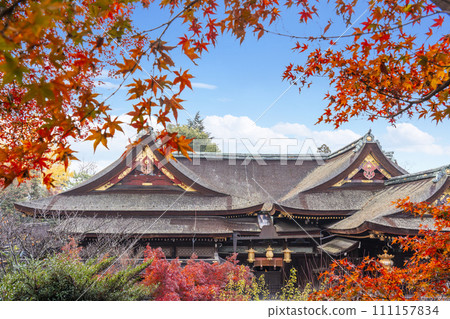 Kyoto in autumn, Kitano Tenmangu Shrine, National Treasure Main Hall seen from the Momijien Observation Deck 111157834
