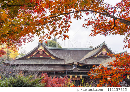 Kyoto in autumn, Kitano Tenmangu Shrine, National Treasure Main Hall seen from the Momijien Observation Deck 111157835