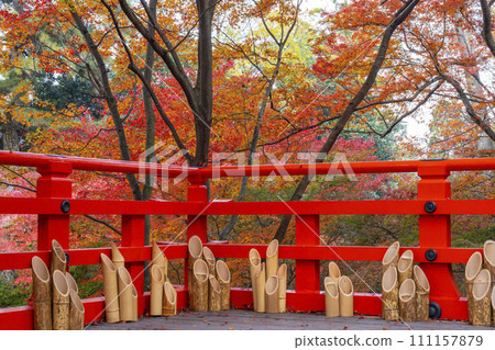 秋天的京都,北野天滿宮,Odoi Momiji,茶室,Baikoken 的景色 秋天的京都,北野天滿宮,Odoi Momiji,茶室,Baikoken 的景色 111157879