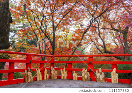 秋天的京都，北野天滿宮，Odoi Momiji，茶室，Baikoken 的景色 111157880