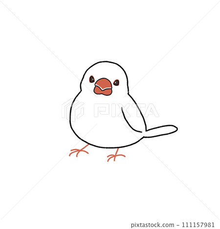 白石鳥 白石鳥 111157981