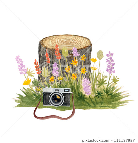 Watercolor vintage camera tree stump and wildflowers composition isolated on white. 111157987