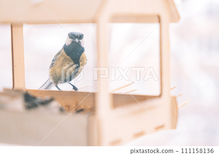 A tit eats in a wooden feeder shaped like a house 111158136