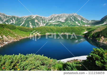 Superb view of Tateyama Mikurigaike, summer scenery 111158859