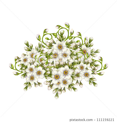 Beautiful watercolor bouquets of white primroses - forget-me-not flowers i for Easter, wedding, Women's Day, Valentine's Day, birthday, Mother's Day, Father's Day, spring and summer bouquets Beautiful watercolor bouquets of white primroses - forget-me-not flowers i for Easter, wedding, Women's Day, Valentine's Day, birthday, Mother's Day, Father's Day, spring and summer bouquets 111159221