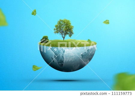 A grown tree on fertile land with green grass 111159773