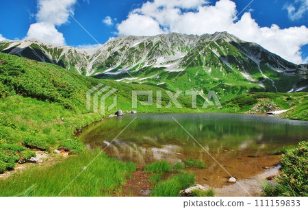 Spectacular Tateyama Midorigaike summer scenery Spectacular Tateyama Midorigaike summer scenery 111159833