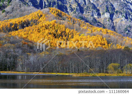 Mirror pond 111160064