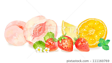 水彩畫色彩繽紛的水果插圖 111160769