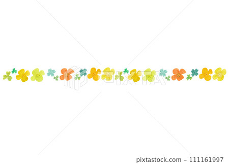 Illustration of small rape blossoms, four leaves, and three leaves drawn with transparent watercolors 111161997