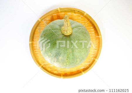 南瓜 南瓜 南瓜 南瓜 南瓜 南瓜 南瓜 南瓜 111162025