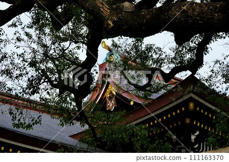 明治神宮夫婦Kusunoki 111163370