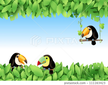Toucan background B Toucan background B 111163423