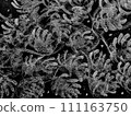 Plant motif/monochrome image 111163750