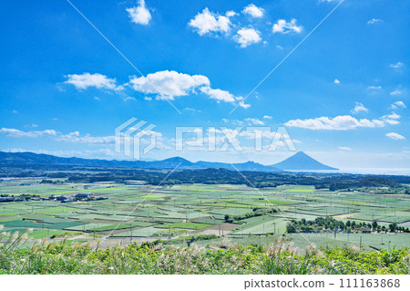 [開聞岳和高塚丘陵（車伯肯丘陵）的整個茶園] 鹿兒島縣南九州市知覽町公元 111163868