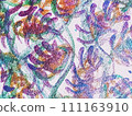 Plant motifs/hand-drawn art 111163910