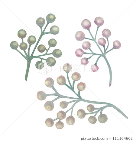 Watercolor purple lilac in a pastel palette in vintage style for wedding, Valentine's day, Women's Day, iIllustrations, templates, stickers, wallpapers, scrapbooking, bouquets, wreaths, boutonnieres 111164602