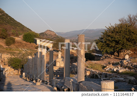 Buildings in the Ancient City of Ephesus, Ancient Buildings. Historical places. High quality photo 111164637