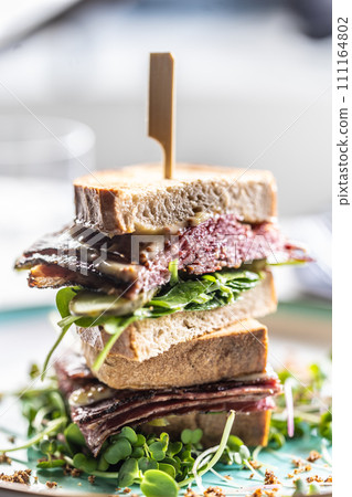 New York sandwich with pastrami, sauce and herbs. Fast food concept 111164802