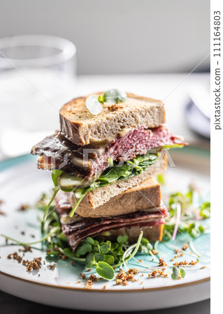 New York sandwich with pastrami, sauce and herbs. Fast food concept 111164803
