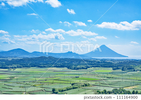[開聞岳和高塚丘陵（車伯肯丘陵）的整個茶園] 鹿兒島縣南九州市知覽町公元 111164900
