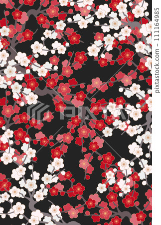 Japanese style red and white plum blossom background Japanese style red and white plum blossom background 111164985