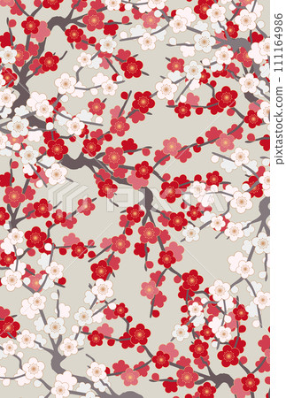 Japanese style red and white plum blossom background Japanese style red and white plum blossom background 111164986